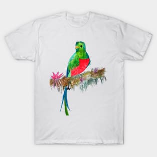 Quetzal Watercolor T-Shirt